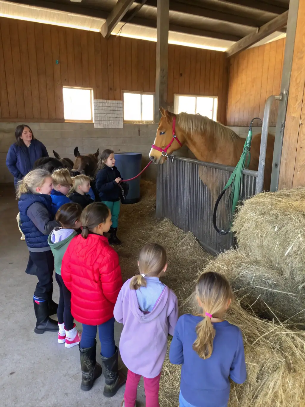 A group of children learning basic horse care techniques, such as grooming and feeding, in a hands-on workshop at ECURIE-MOULIN.
